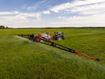 Image sur CAMPO 32P ISOTRONIC